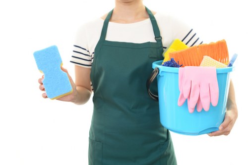 Camden cleaner providing professional home cleaning service