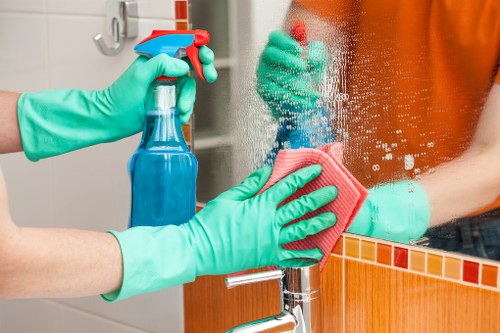 Camden Cleaner about us introduction to professional cleaning services