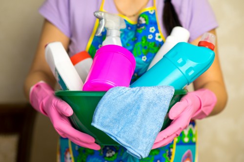 Rug care for apartments, rentals, and business spaces in Camden