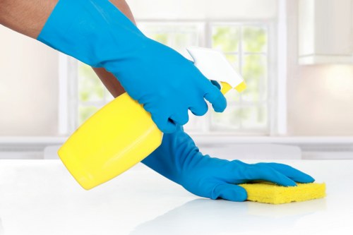 Professional house clearance team working in a Camden residential property