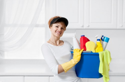 Deep rug cleaning process for local Camden properties