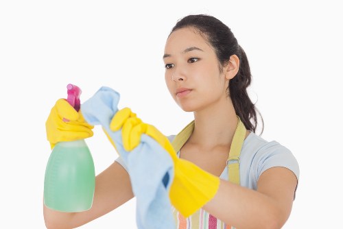 Local Camden cleaners working in a residential property
