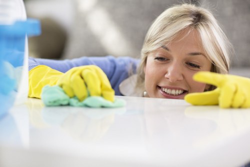 Local cleaning specialist removing pet urine odour from a rug