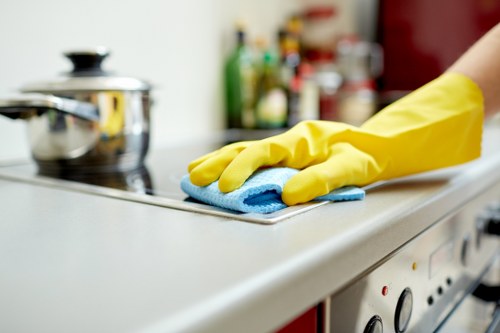 Move in cleaning service for a Camden property