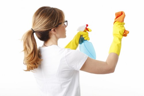 Rug and fabric stain cleaning in a Camden property