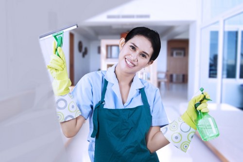Personal protective equipment used during a Camden Cleaner cleaning task