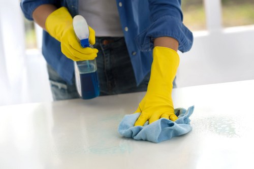 Weekly cleaning for a period property in Camden