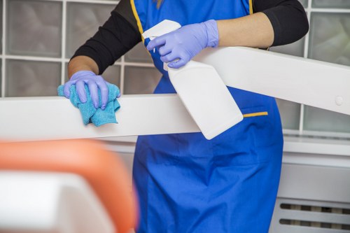 User managing cookie preferences for Camden Cleaner in browser settings